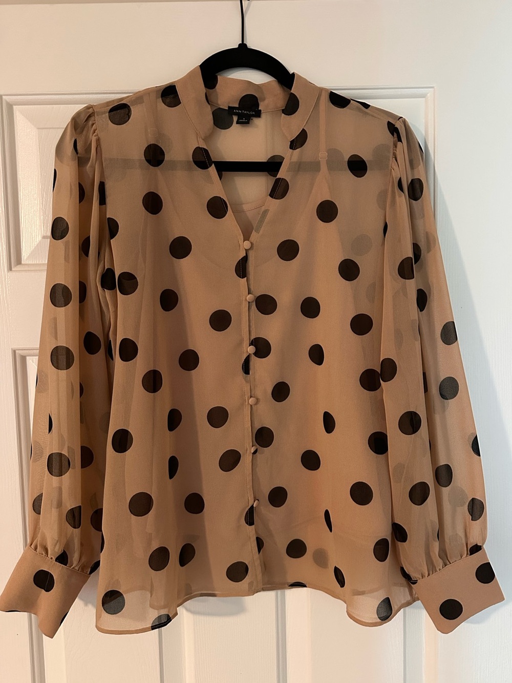 Ann Taylor Beige Sheer Polka Dot Blouse
